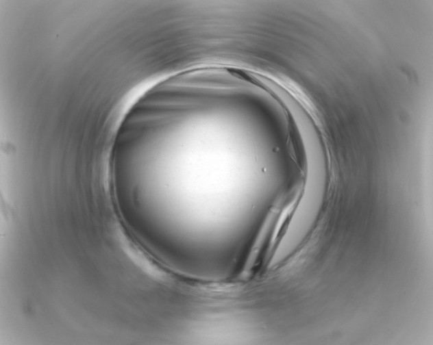 X0000090880862200708101343