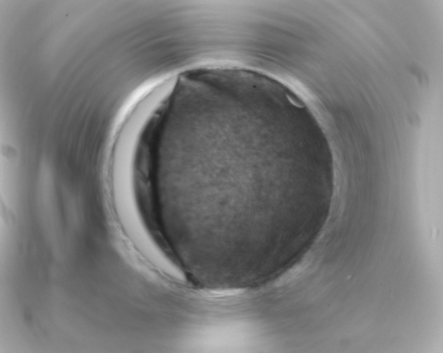 X0000090880864200708101343