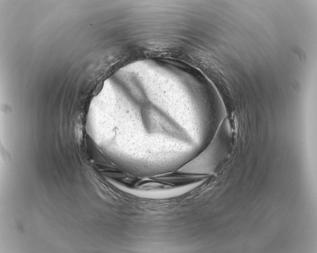 X0000090880868200708101343