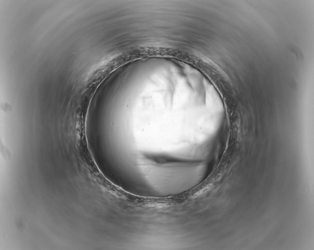 X0000090880870200708101343