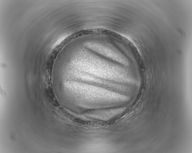 X0000090880871200708101343