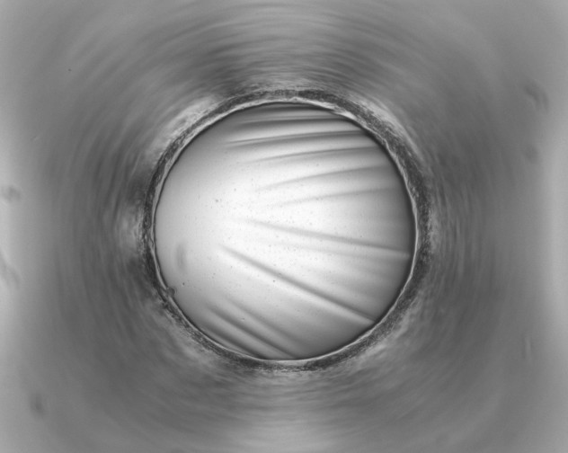 X0000090880873200708101343