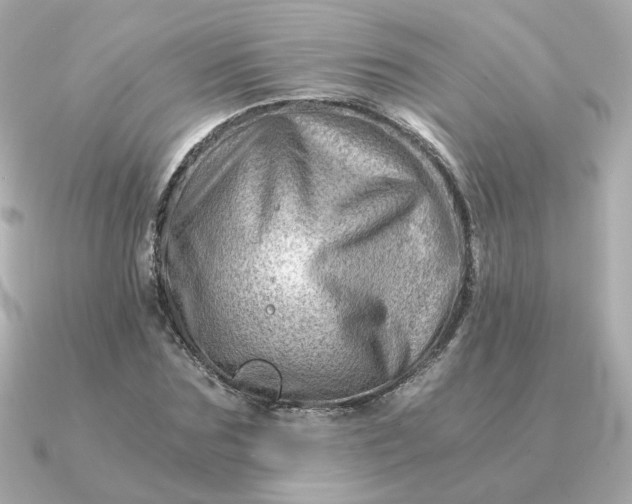 X0000090880875200708101343