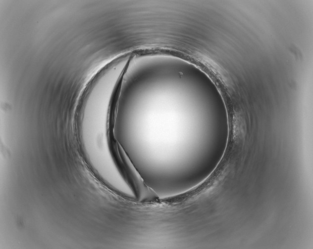 X0000090880876200708101343