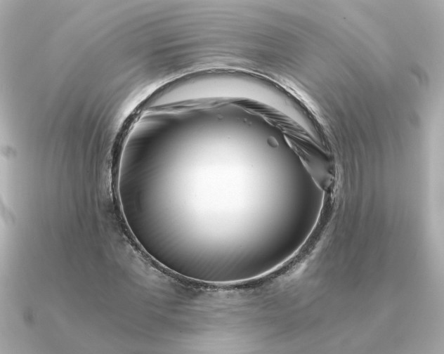 X0000090880877200708101343