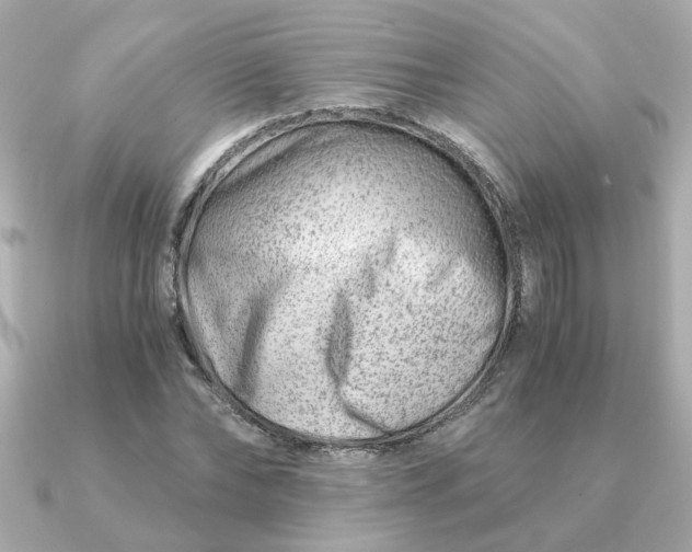 X0000090880878200708101343