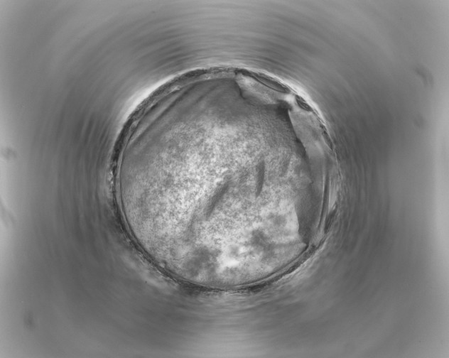 X0000090880879200708101343