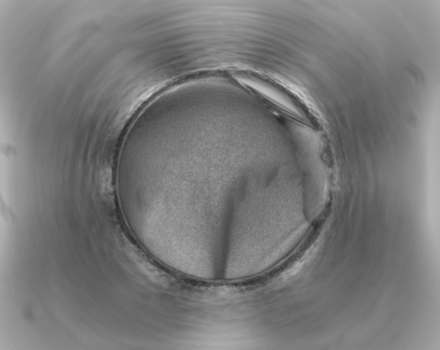 X0000090880881200708101343