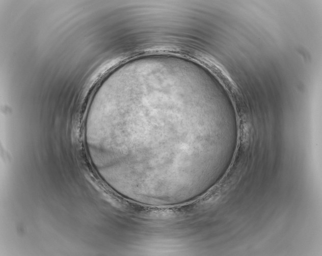 X0000090880882200708101343