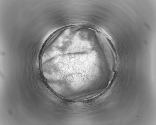 X0000090880883200708101343