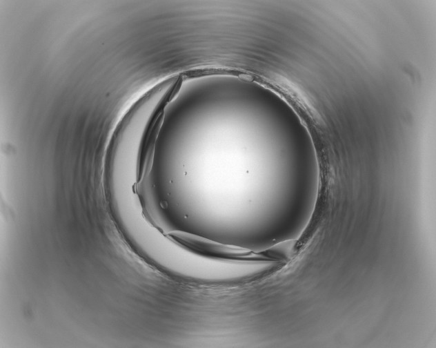 X0000090880884200708101342