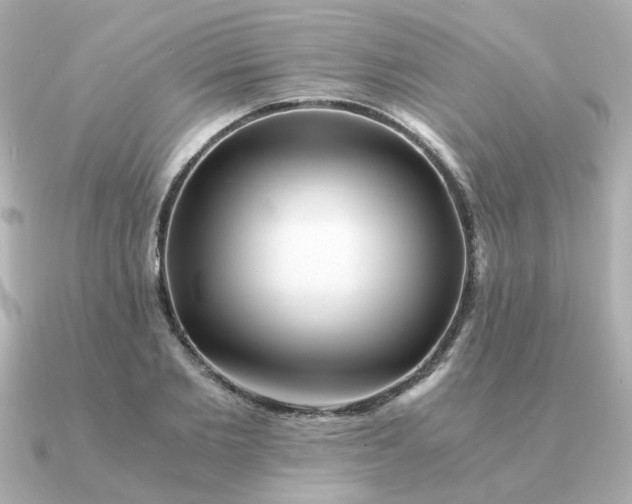 X0000090880885200708101342