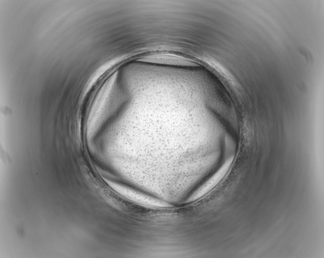 X0000090880886200708101342