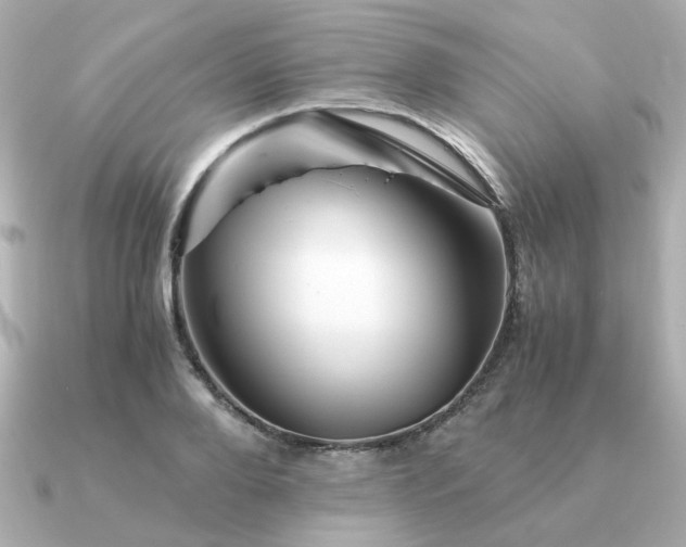 X0000090880888200708101342