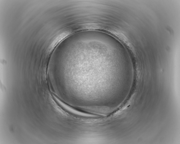 X0000090880889200708101342