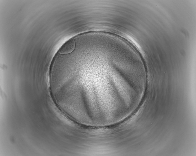 X0000090880891200708101342