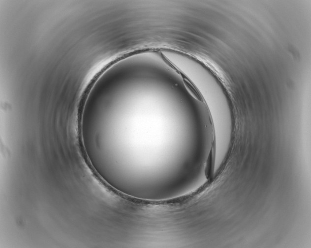 X0000090880894200708101342