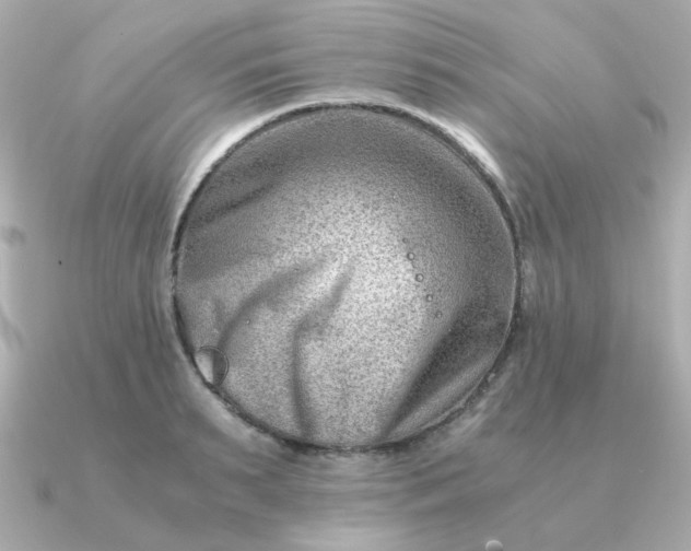 X0000090880895200708101342