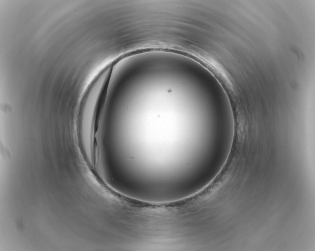 X0000090880896200708101342