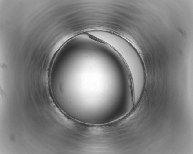 X0000090880898200708101342