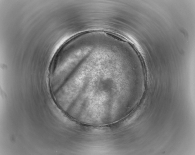 X0000090880899200708101342