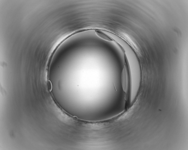 X0000090880900200708101342