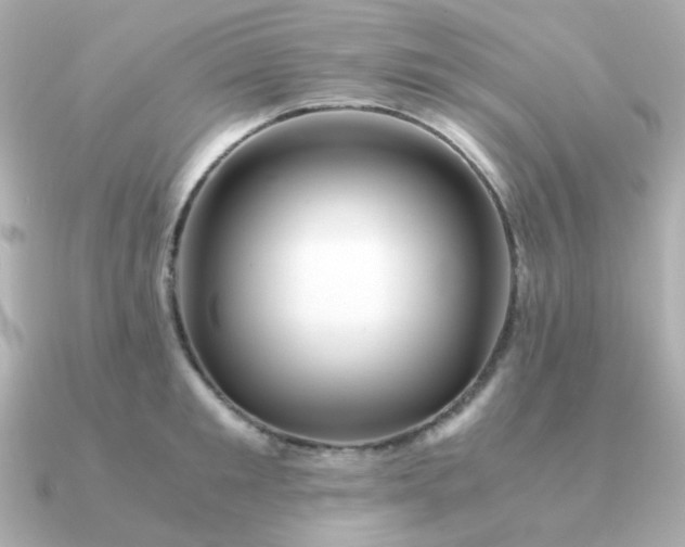 X0000090880901200708101342