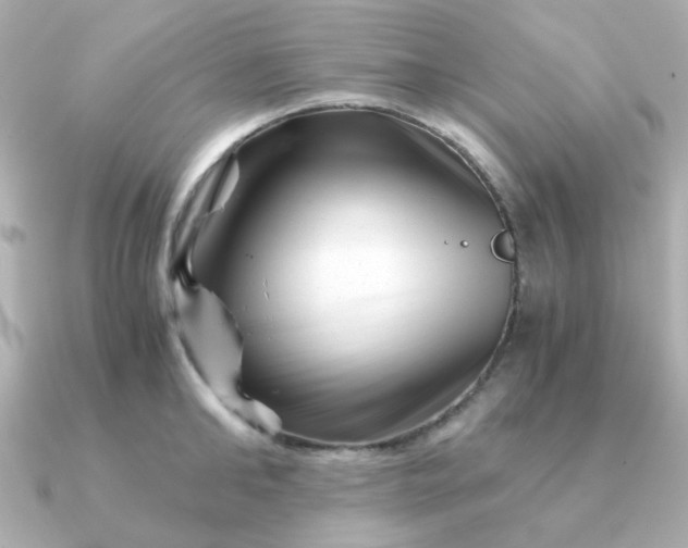 X0000090880902200708101342