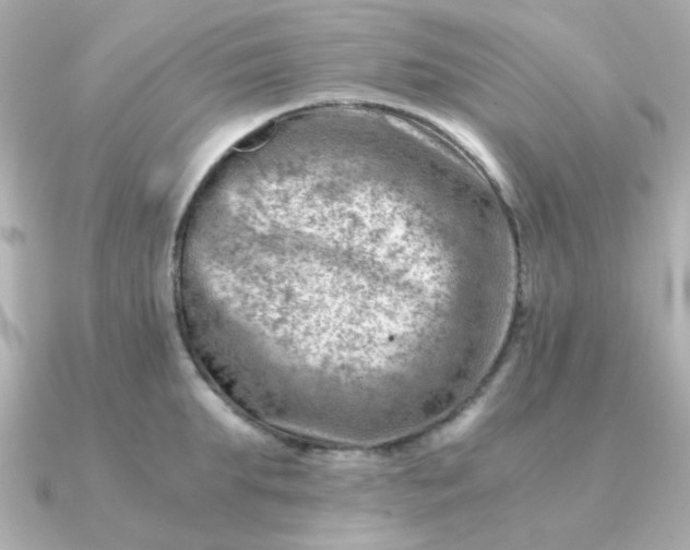 X0000090880903200708101342