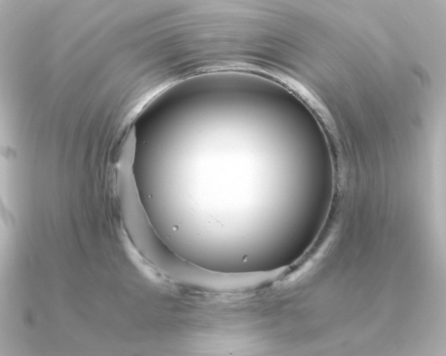 X0000090880905200708101342