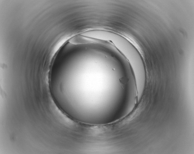 X0000090880906200708101342