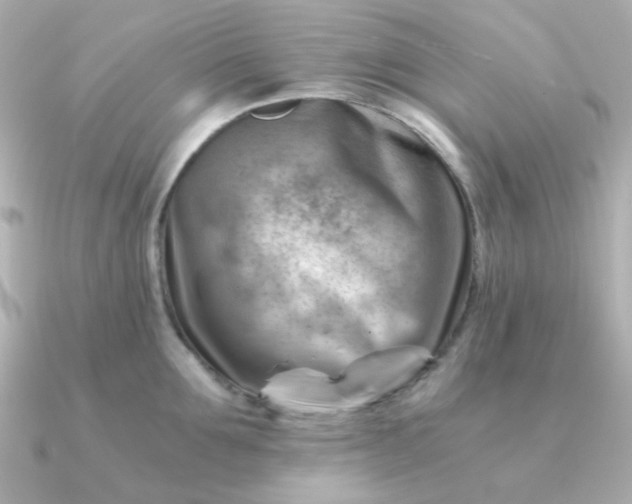 X0000090880907200708101342