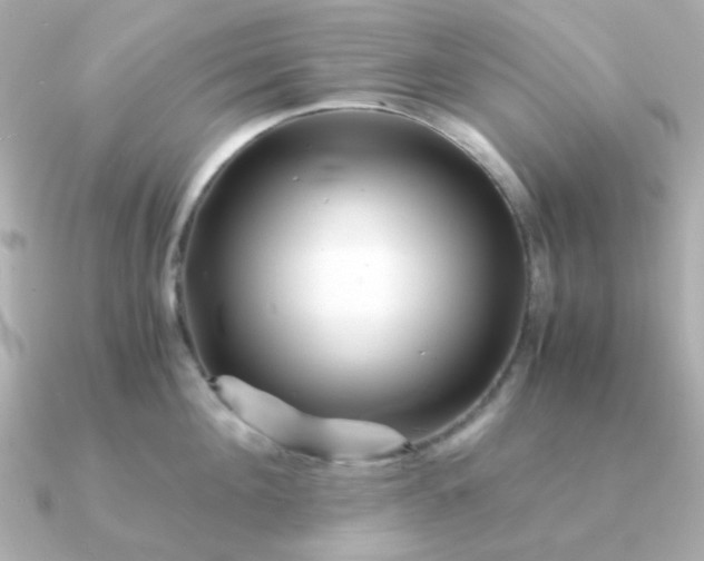 X0000090880908200708101342