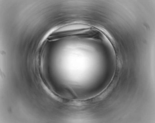 X0000090880910200708101342