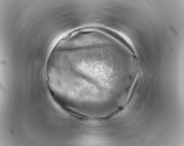 X0000090880911200708101342