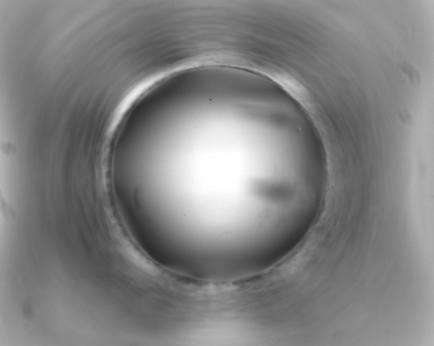 X0000090880912200708101342