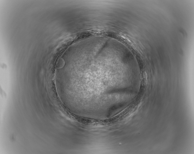 X0000090880913200708101342