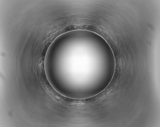 X0000090880914200708101342