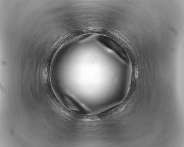 X0000090880915200708101342