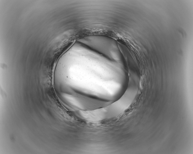 X0000090880916200708101342