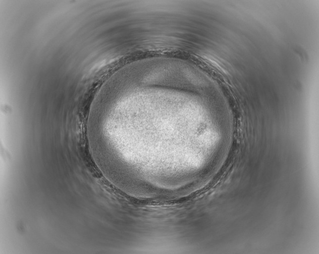 X0000090880917200708101342