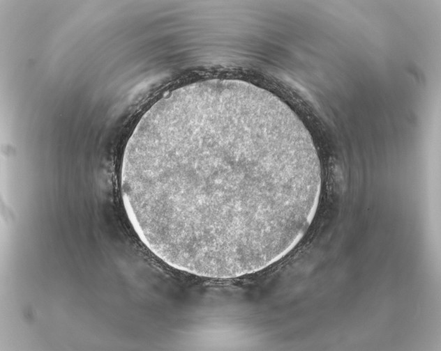 X0000090880918200708101342