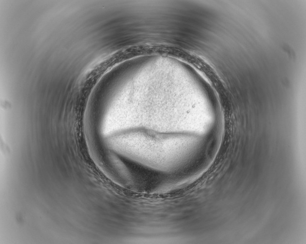 X0000090880919200708101342