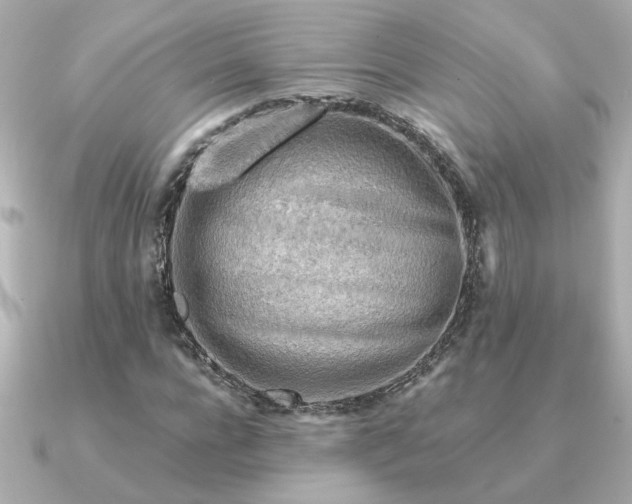 X0000090880920200708101342