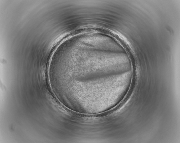 X0000090880921200708101342