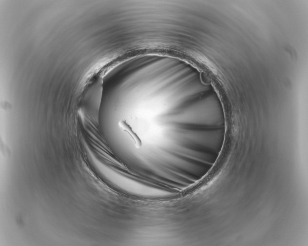 X0000090880922200708101342