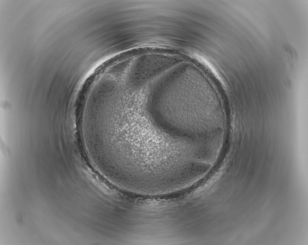 X0000090880923200708101342