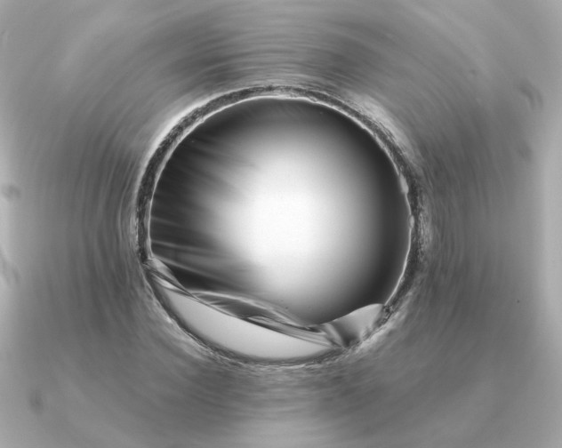 X0000090880924200708101342