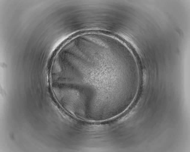 X0000090880925200708101342