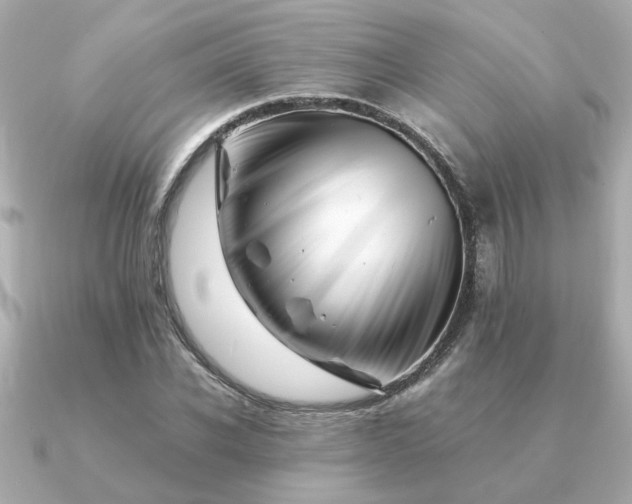 X0000090880926200708101342